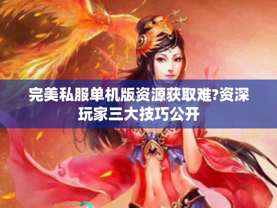 完美私服单机版资源获取难?资深玩家三大技巧公开