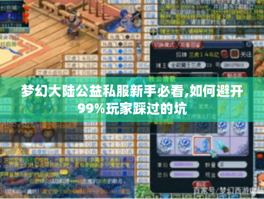梦幻大陆公益私服新手必看,如何避开99%玩家踩过的坑