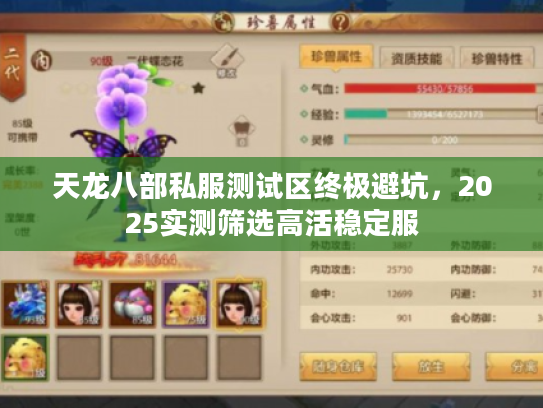 天龙八部私服测试区终极避坑，2025实测筛选高活稳定服