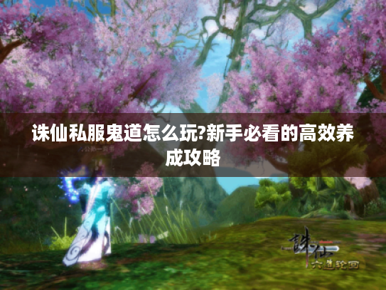 诛仙私服鬼道怎么玩?新手必看的高效养成攻略