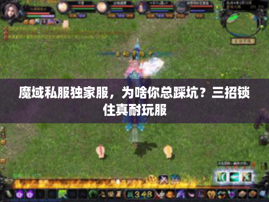 魔域私服独家服，为啥你总踩坑？三招锁住真耐玩服