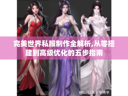 完美世界私服制作全解析,从零搭建到高级优化的五步指南