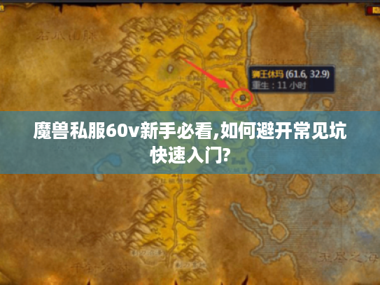 魔兽私服60v新手必看,如何避开常见坑快速入门?