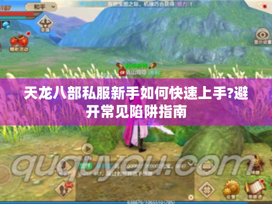 天龙八部私服新手如何快速上手?避开常见陷阱指南