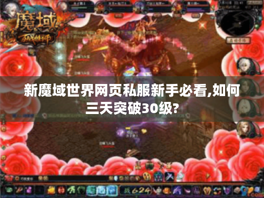 新魔域世界网页私服新手必看,如何三天突破30级?