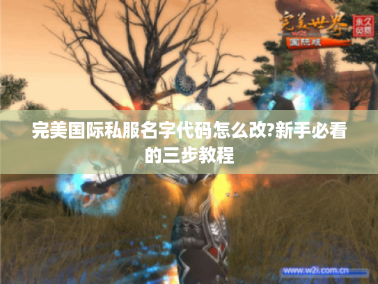 完美国际私服名字代码怎么改?新手必看的三步教程