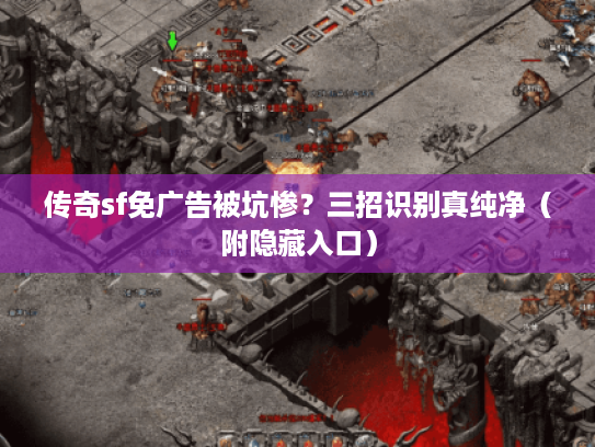 传奇sf免广告被坑惨？三招识别真纯净（附隐藏入口）