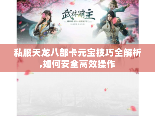私服天龙八部卡元宝技巧全解析,如何安全高效操作