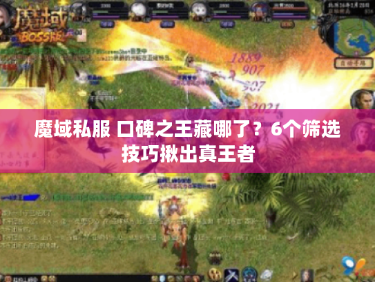 魔域私服 口碑之王藏哪了？6个筛选技巧揪出真王者