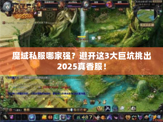 魔域私服哪家强？避开这3大巨坑挑出2025真香服！