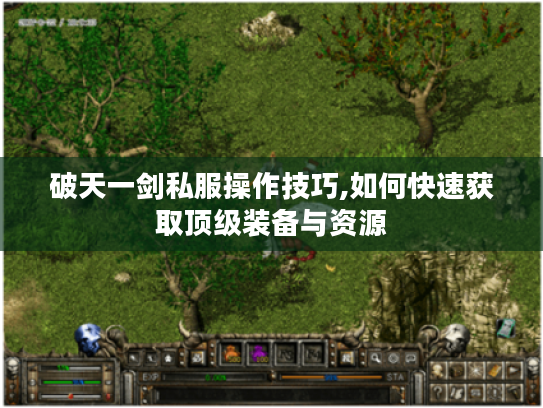 破天一剑私服操作技巧,如何快速获取顶级装备与资源