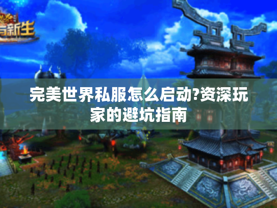 完美世界私服怎么启动?资深玩家的避坑指南