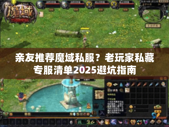 亲友推荐魔域私服？老玩家私藏专服清单2025避坑指南