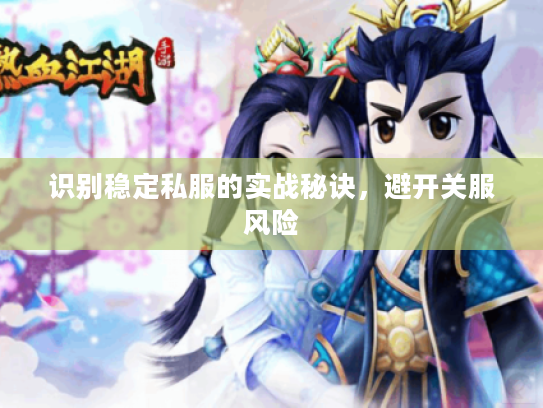 识别稳定私服的实战秘诀，避开关服风险