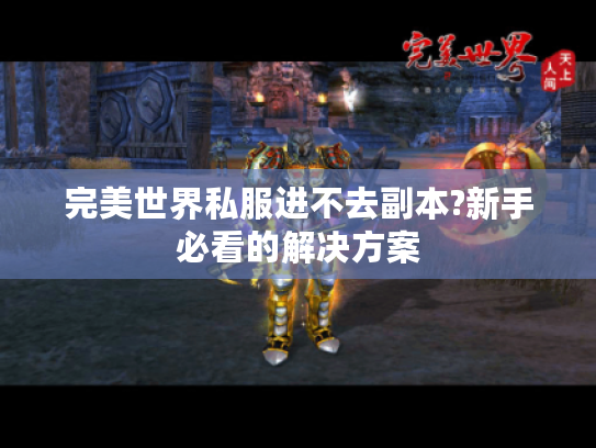 完美世界私服进不去副本?新手必看的解决方案