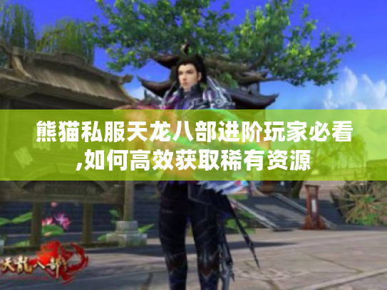 熊猫私服天龙八部进阶玩家必看,如何高效获取稀有资源