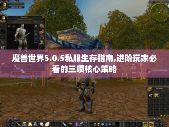 魔兽世界5.0.5私服生存指南,进阶玩家必看的三项核心策略