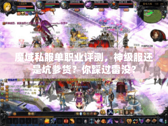 魔域私服单职业评测，神级服还是坑爹货？你踩过雷没？
