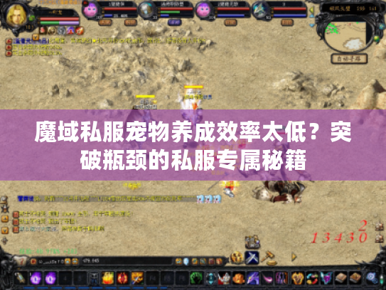 魔域私服宠物养成效率太低？突破瓶颈的私服专属秘籍