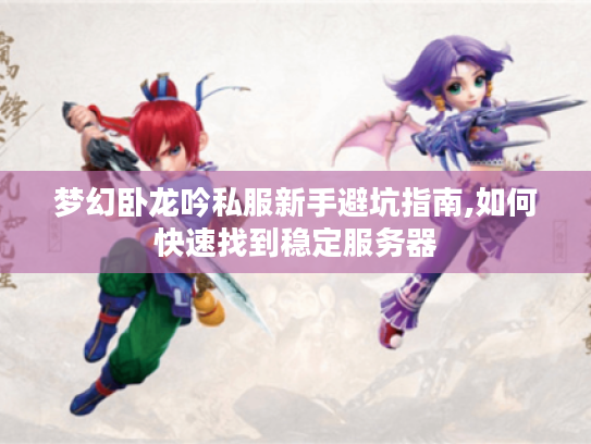 梦幻卧龙吟私服新手避坑指南,如何快速找到稳定服务器