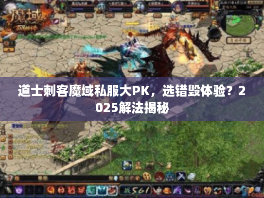 道士刺客魔域私服大PK，选错毁体验？2025解法揭秘