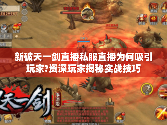 新破天一剑直播私服直播为何吸引玩家?资深玩家揭秘实战技巧