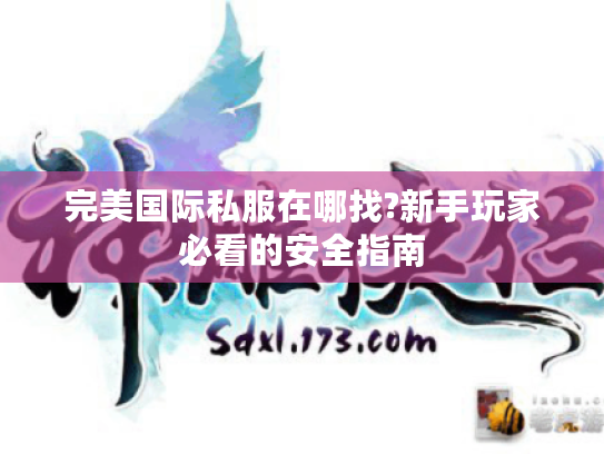 完美国际私服在哪找?新手玩家必看的安全指南