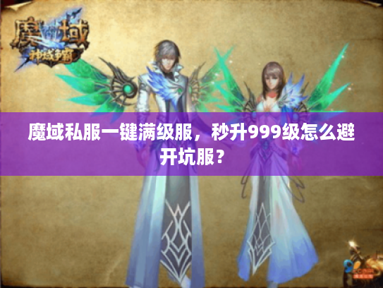 魔域私服一键满级服，秒升999级怎么避开坑服？
