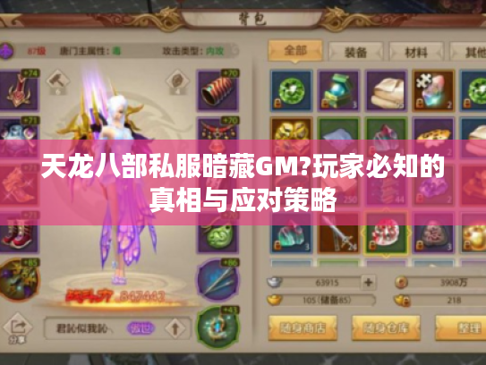 天龙八部私服暗藏GM?玩家必知的真相与应对策略