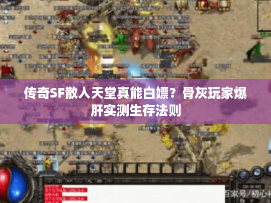 传奇SF散人天堂真能白嫖？骨灰玩家爆肝实测生存法则