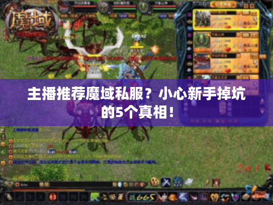 主播推荐魔域私服？小心新手掉坑的5个真相！