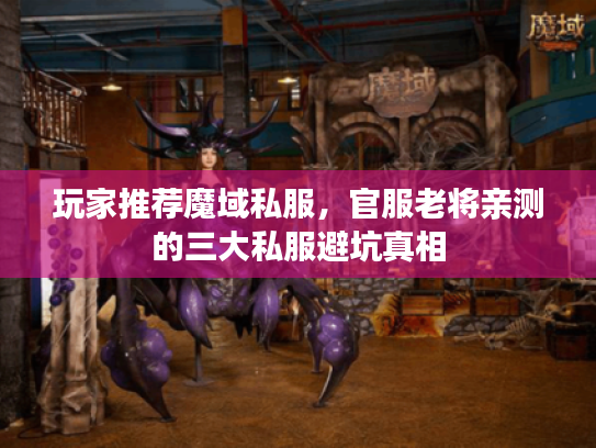 玩家推荐魔域私服，官服老将亲测的三大私服避坑真相