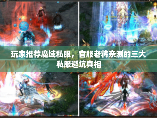 玩家推荐魔域私服，官服老将亲测的三大私服避坑真相