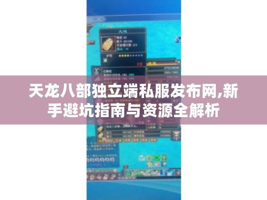 天龙八部独立端私服发布网,新手避坑指南与资源全解析