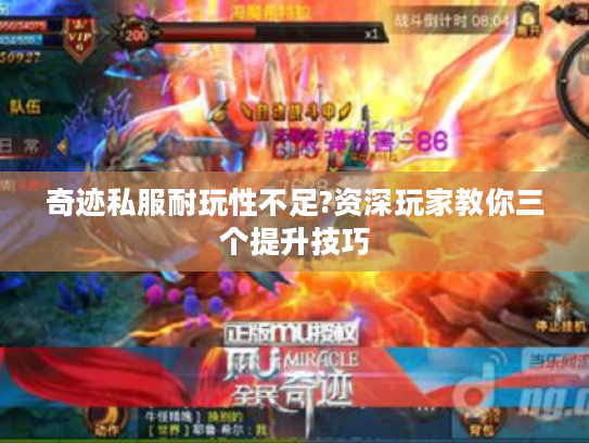 奇迹私服耐玩性不足?资深玩家教你三个提升技巧