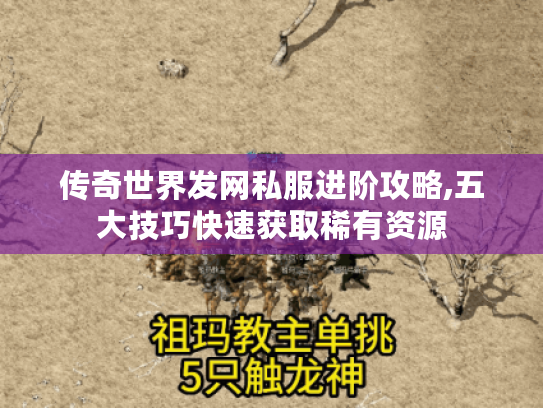 传奇世界发网私服进阶攻略,五大技巧快速获取稀有资源