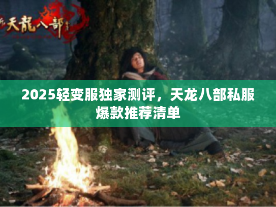 2025轻变服独家测评，天龙八部私服爆款推荐清单