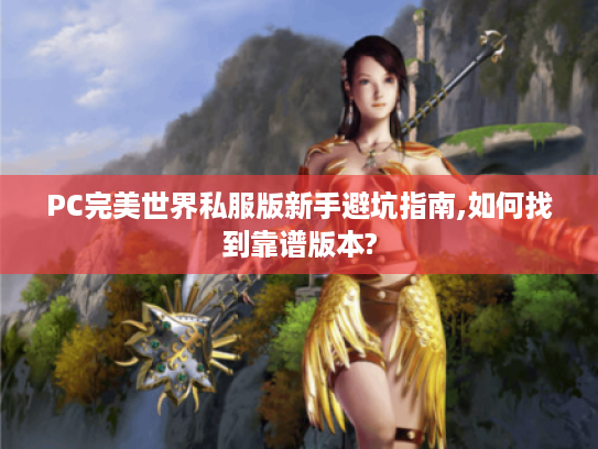 PC完美世界私服版新手避坑指南,如何找到靠谱版本?