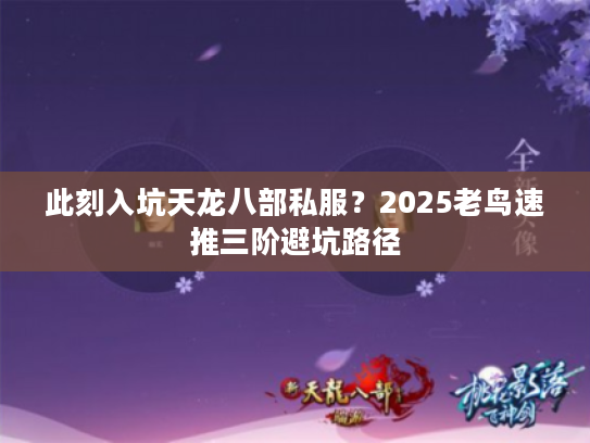此刻入坑天龙八部私服？2025老鸟速推三阶避坑路径