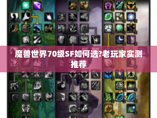 魔兽世界70级SF如何选?老玩家实测推荐