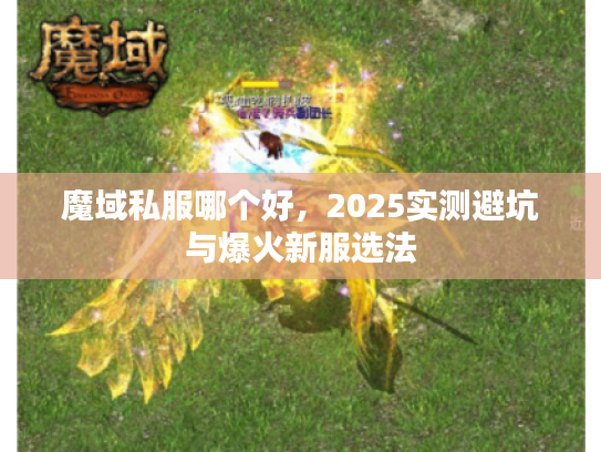 魔域私服哪个好，2025实测避坑与爆火新服选法