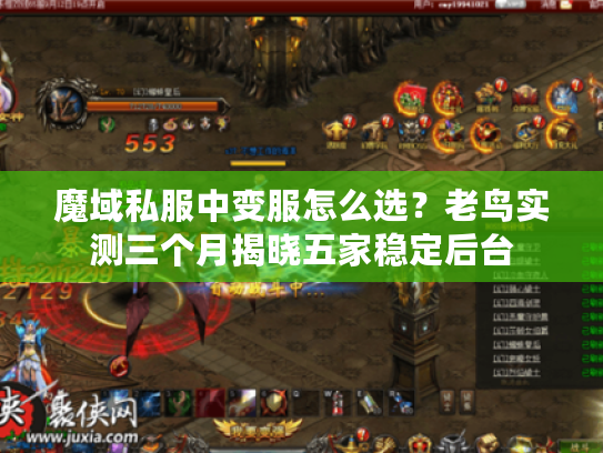 魔域私服中变服怎么选？老鸟实测三个月揭晓五家稳定后台