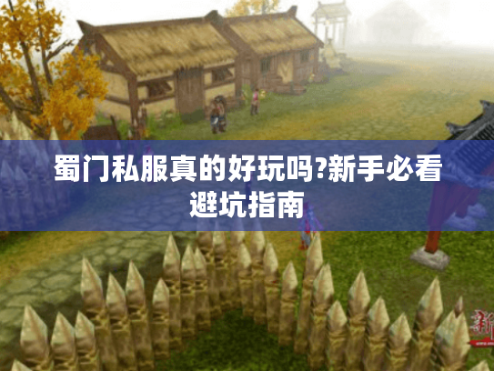 蜀门私服真的好玩吗?新手必看避坑指南
