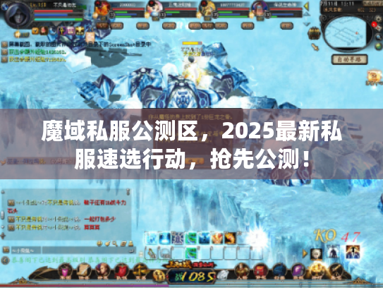魔域私服公测区，2025最新私服速选行动，抢先公测！