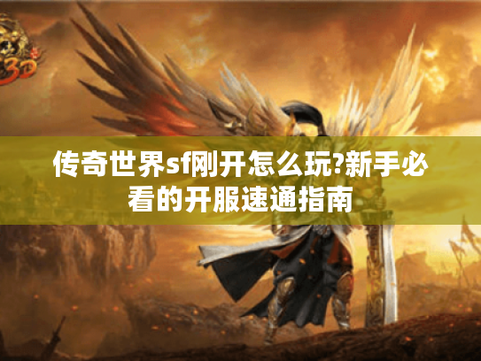 传奇世界sf刚开怎么玩?新手必看的开服速通指南