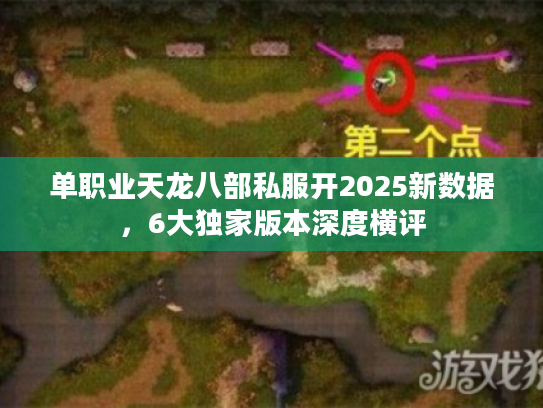 单职业天龙八部私服开2025新数据，6大独家版本深度横评