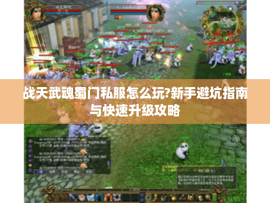 战天武魂蜀门私服怎么玩?新手避坑指南与快速升级攻略