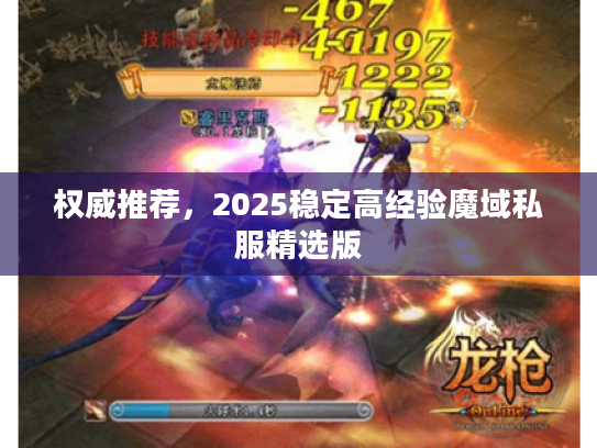 权威推荐，2025稳定高经验魔域私服精选版
