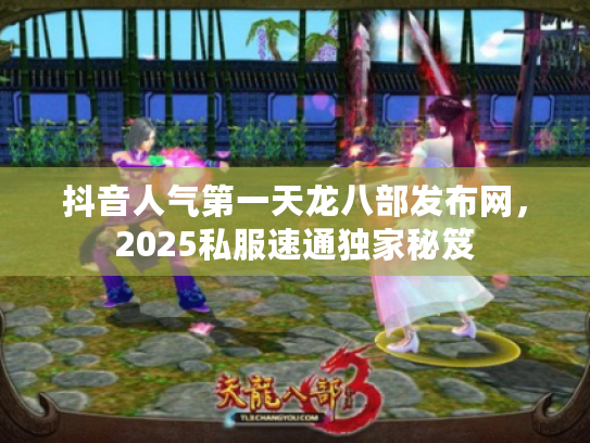 抖音人气第一天龙八部发布网，2025私服速通独家秘笈