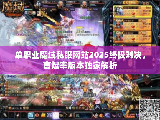 单职业魔域私服网站2025终极对决，高爆率版本独家解析